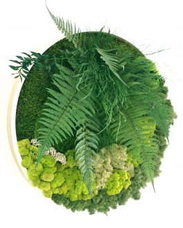 Stabilizuotų augalų paveikslas ROUND JUNGLE MINI, Ø30 cm