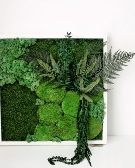 Stabilizuotų augalų paveikslas JUNGLE MAXI, 50×50 cm